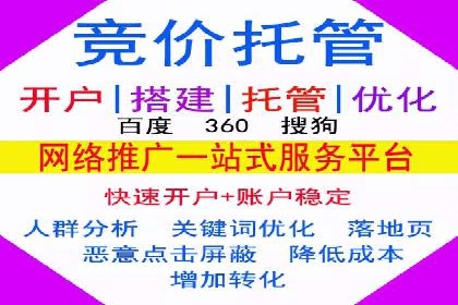 企业SEM托管代运营实战案例